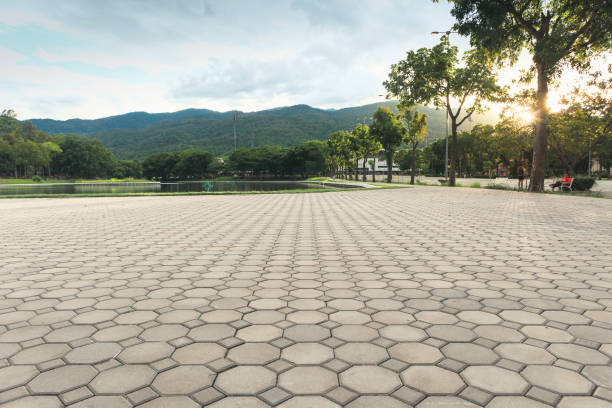 Best Residential Paver Driveway  in Rapids, NY